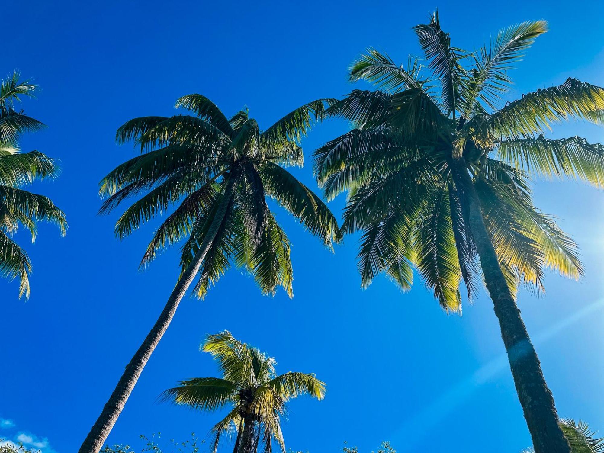 Villa Mitirapa Tohautu Exteriér fotografie
